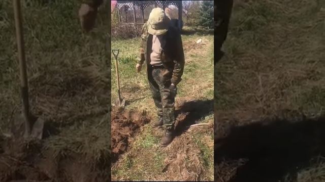 Брюки Helicon смотреть онлайн