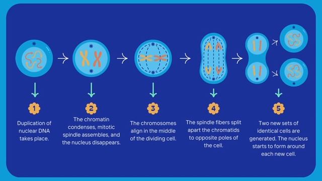 DNA Music Video смотреть онлайн