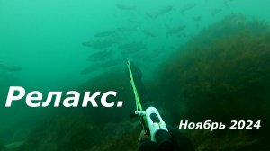 Релакс. Подводная охота в Черном море. Ноябрь 2024.