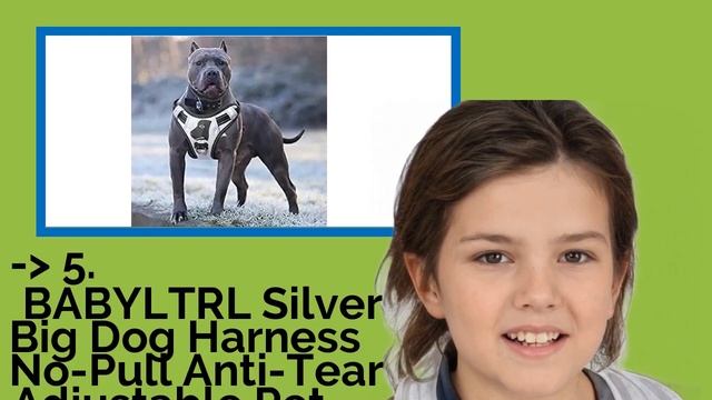 👉 Top 10 Kevlar Dog Harnesses 2021 (Review Guide) смотреть онлайн