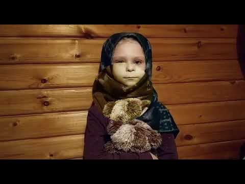 Шибаева Юлия «Ободранного мишку утешала» (Лора Тасси) смотреть онлайн