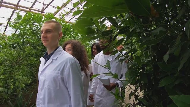 Кубанский Государственный аграрный университет смотреть онлайн