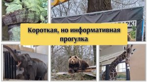 Калининградский зоопарк. Что из себя представляет.