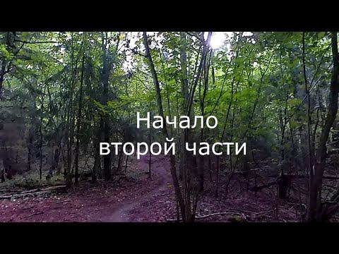 Прогулка по велотрассе 12 км 2 часть смотреть онлайн