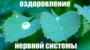 Настрой на оздоровление нервной системы (по Сытину)
