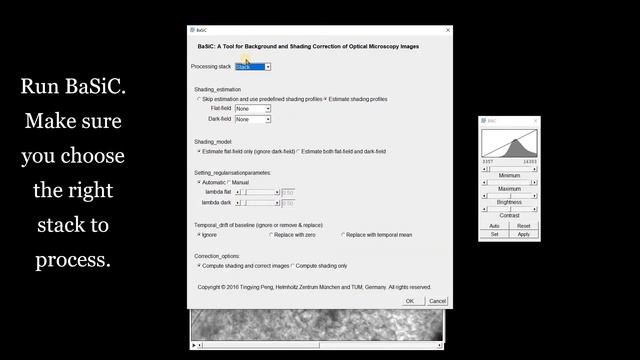 FIJI (ImageJ): Pseudo-Flat-Field & Shading Correction of Time Series Images Using BaSiC смотреть онлайн
