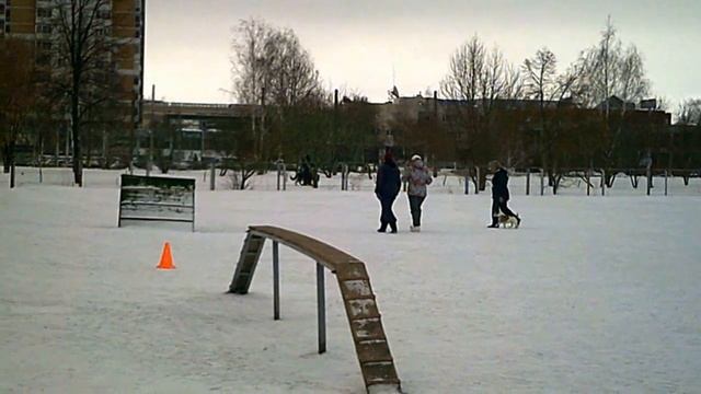 Чемпионат Закамского региона по ОКД. 1 место смотреть онлайн
