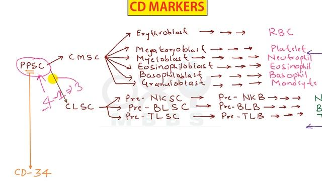 Trick to Remember permanently all CD Markers present on Blood Cells смотреть онлайн