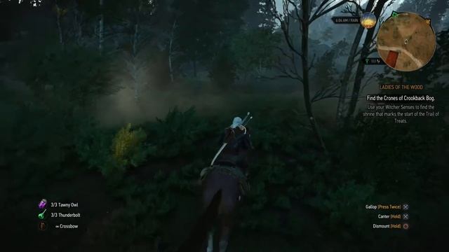 The Witcher 3 : Wild Hunt - Part 24 | KILLING A GRAVE HAG смотреть онлайн