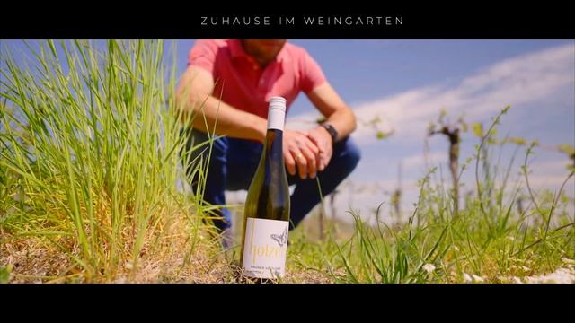 Weingut Holzer смотреть онлайн