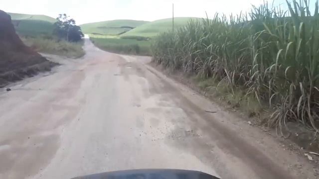 LEVEI a @lucinharocha01 PARA NEGOCIAR UM SÍTIO смотреть онлайн