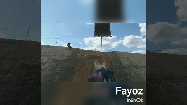 CASE 210 смотреть онлайн