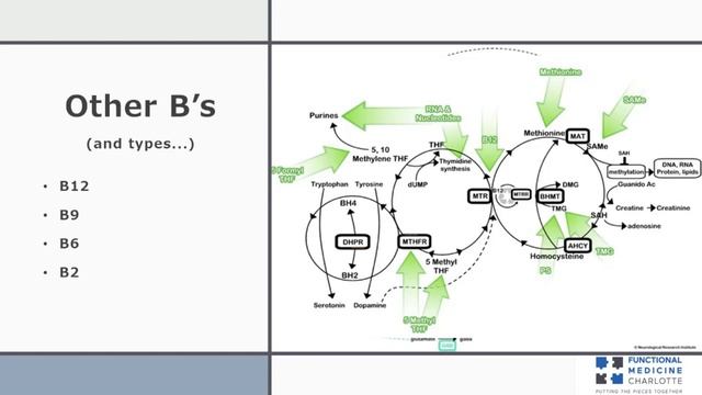 B vitamins - understanding the different forms and their role in Methylation смотреть онлайн