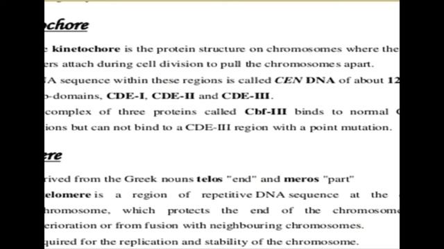 Chromosomes B.sc I paper II CELL BIO AND GENETICS ,Zoology by Dr.Pratibha Pareek . смотреть онлайн
