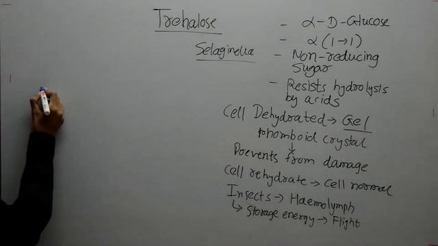 Trehalose Disaccharide | Biochemistry lecture смотреть онлайн