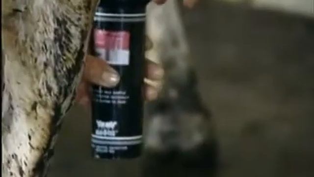 MAS-D-Tec Demonstration смотреть онлайн