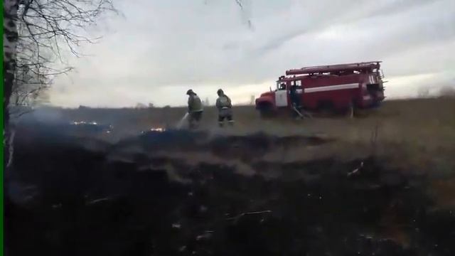 Горит трава за кирзаводом в Бердске смотреть онлайн