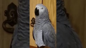 Лялечка,Солнушка, красивая! Гарна дивка!