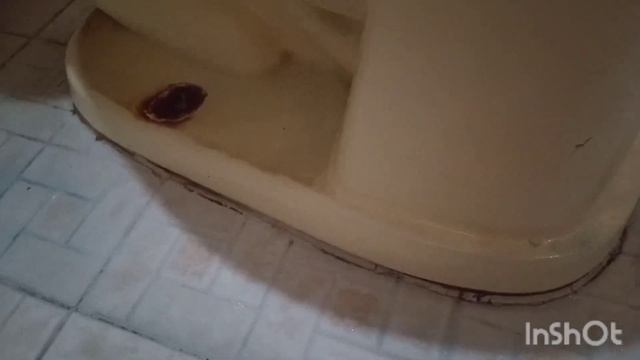Como quitar sarro del baño, probando HARPIC si funciona? смотреть онлайн