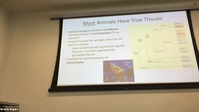 1108 Lecture 3-3-21 смотреть онлайн