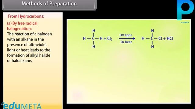 Class 12th CHEMISTRY Haloalkanes and Haloarenes I смотреть онлайн