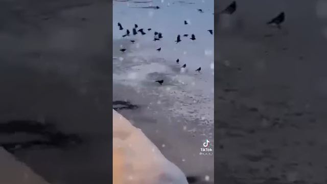 Никто не знает наперёд, что нас на белом свете ждёт. смотреть онлайн