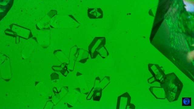MonoAmmonium Phosphate Crystal Timelapse смотреть онлайн