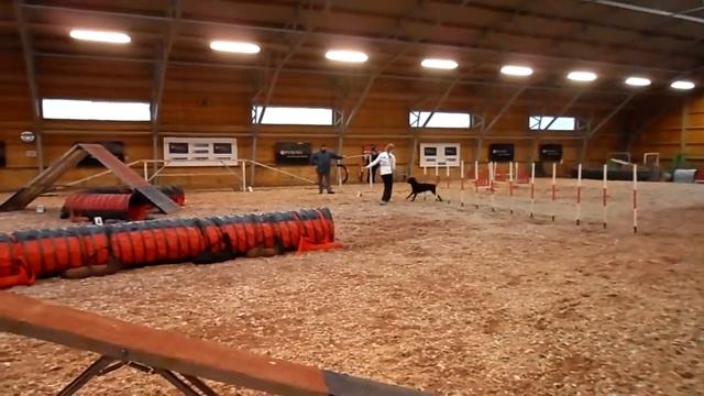 Simba 25.11.12 Purina HYL aksarata 2 смотреть онлайн