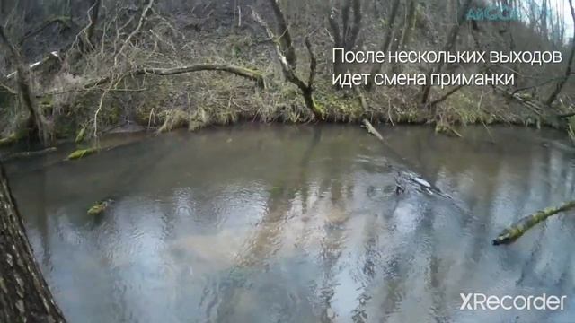 6 декабря 2020 г. смотреть онлайн