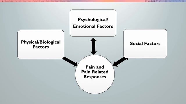Kari Firestone - Distinguished Faculty Lecture 2018-19 смотреть онлайн