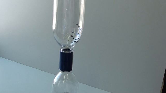 Удивительные природные явления: Опыт 2. Мерцающий водоворот смотреть онлайн