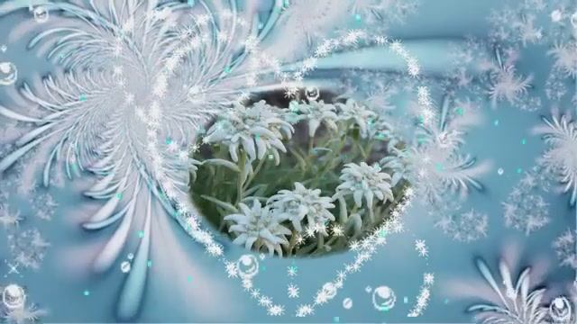 Эдельвейсы...исп.А.Акопов,сл.Н.Кляцкий,муз. Сальваторе Адамо,аран. MaestroArtur смотреть онлайн