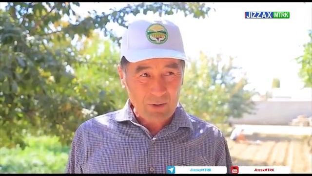 Зарбдорда томорқачилик бўйича семинар смотреть онлайн