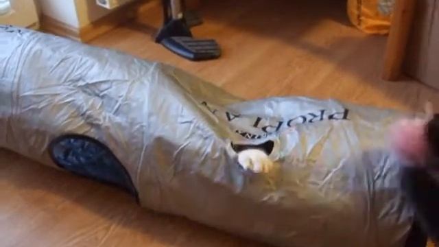 Purina tunnel смотреть онлайн