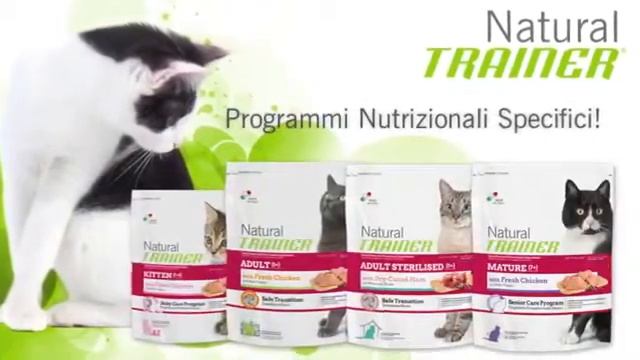 Nuovo Trainer Natural Gatto Safe Transition смотреть онлайн