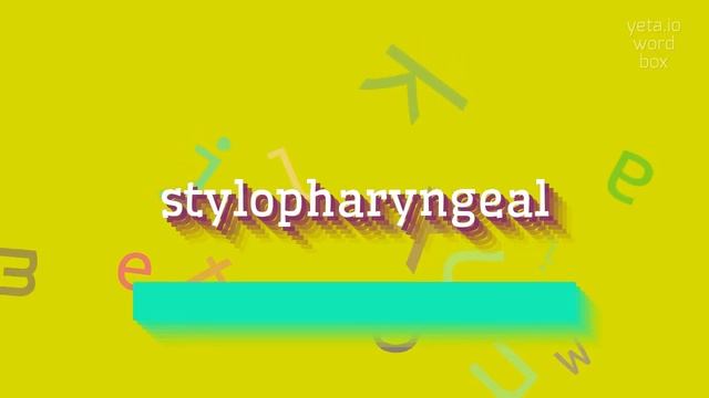 STYLOPHARYNGEAL - HOW TO SAY STYLOPHARYNGEAL? #stylopharyngeal смотреть онлайн