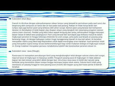 TUGAS PIP (EKOSISTEM ESTUARIA) смотреть онлайн