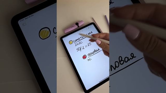 Правило на наборы соматической и половой клеток, сохраняй #егэбиология #егэ #биология смотреть онлайн