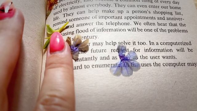 HOW TO DRY FLOWERS IN THE BOOK - herbarium смотреть онлайн