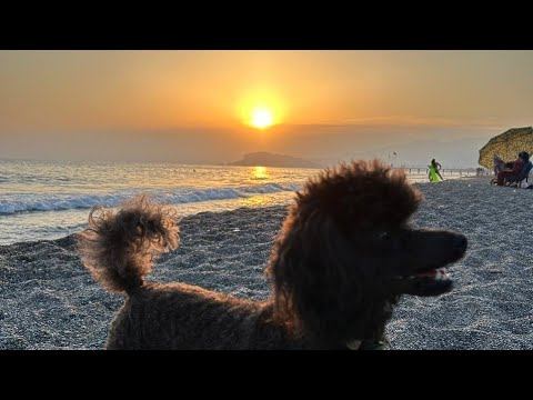 20.06.24 Алания Махмутлар смотреть онлайн