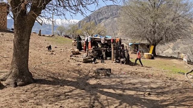 "Evil mother-in-law: unpleasant events after the return of the bride" смотреть онлайн