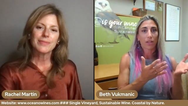 Guest Beth Vukmanic, Program Director SIP Certified смотреть онлайн