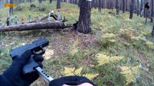 ANICS - Skif A-3000 Показательная стрельба - Свинцовые пули. Лесной тир #1