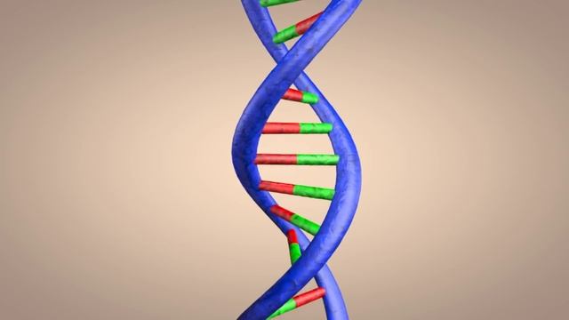 DNA double helix structure animation смотреть онлайн