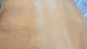 Анатомия человека 1 курс