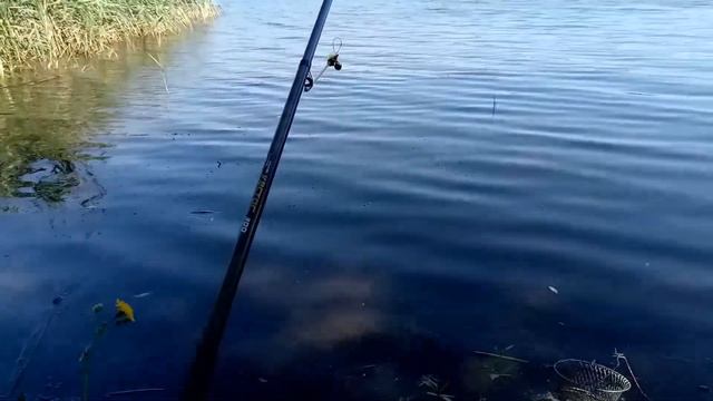 Карась клюёт! смотреть онлайн