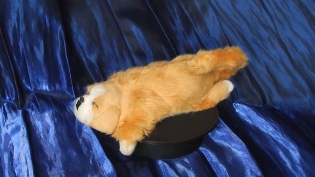 Beige realistic gull dog. In static. Бежевый реалистичный пес-хохотун. В статике. смотреть онлайн