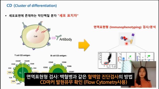 [핵심만쏙쏙 면역학] CD 마커(CD Marker)란 무엇일까? 우리몸의 면역세포를 분류하는 CD마커 쉽게 정리하기 - 손바이오TV