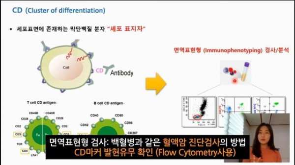 [핵심만쏙쏙 면역학] CD 마커(CD Marker)란 무엇일까? 우리몸의 면역세포를 분류하는 CD마커 쉽게 정리하기 - 손바이오TV