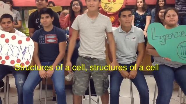 Structures of a Cell - Gaby Valdes смотреть онлайн